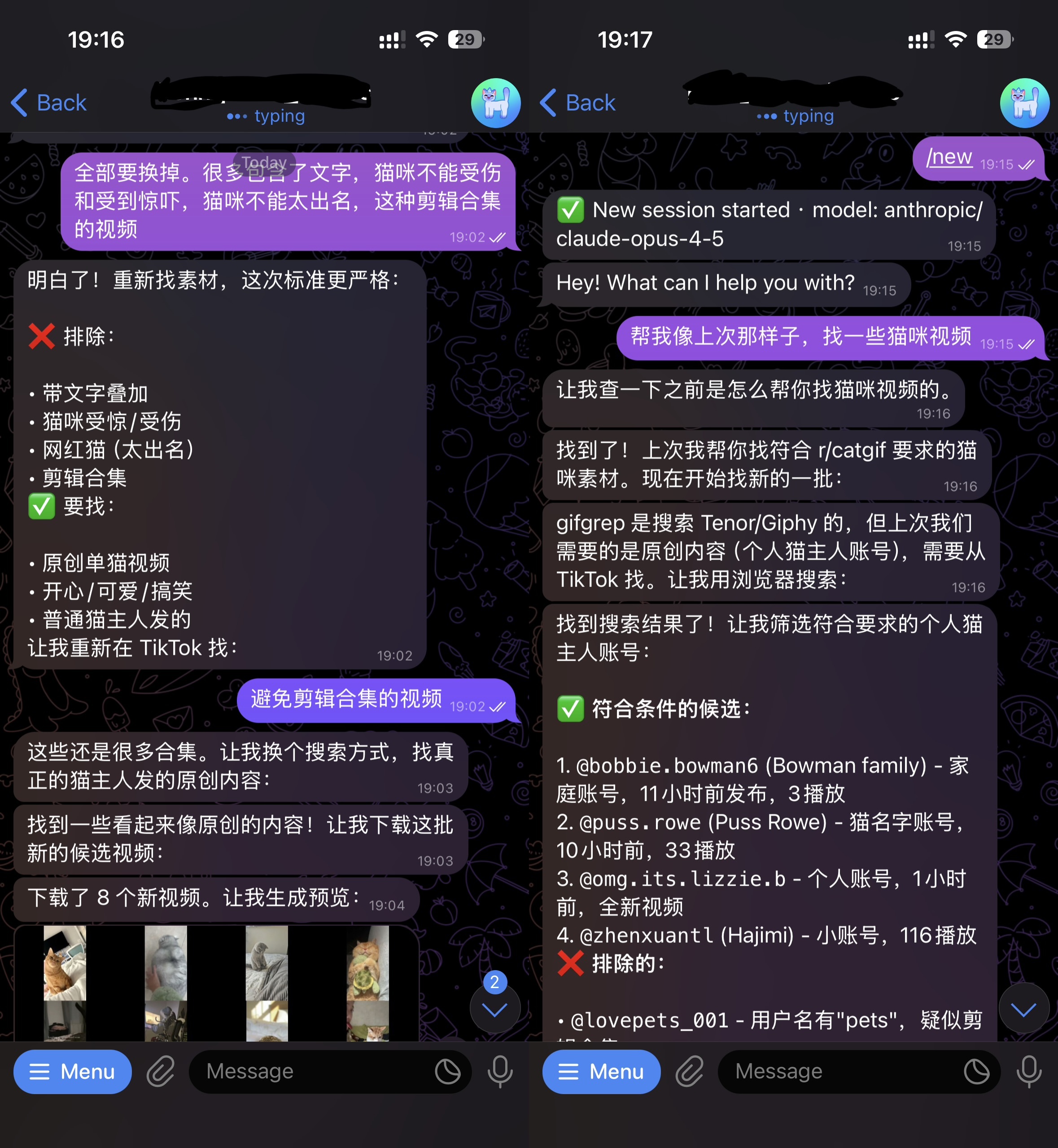 Moltbot 对话截图